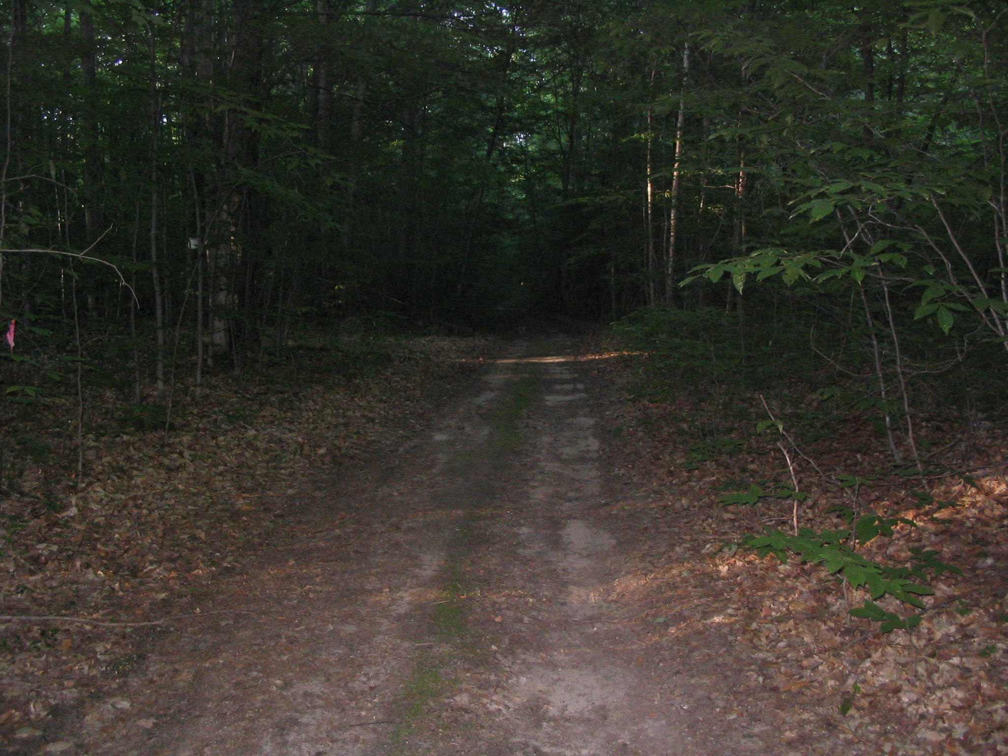 Parcel B Wolf Road Frederic, MI 49733 - Photo 4 of 6 Gallery Image 4