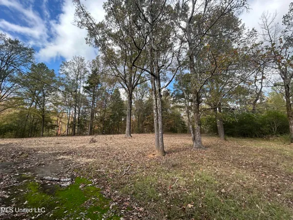 $68,000 | 4 County Road 325, Big Creek, MS 38914