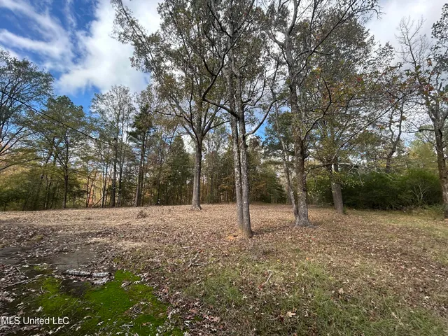 $81,000 | 4 County Road 325, Big Creek, MS 38914