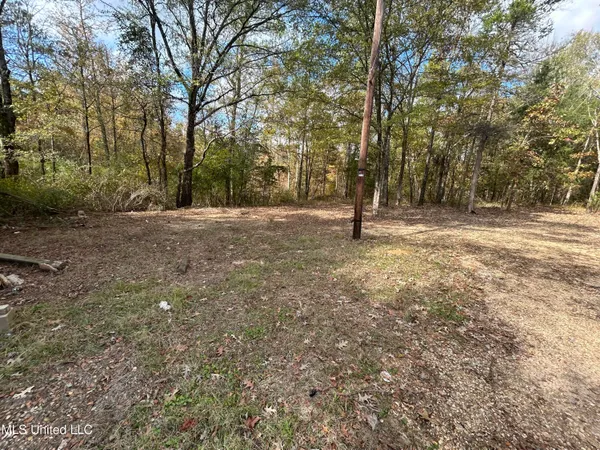 $68,000 | 4 County Road 325, Big Creek, MS 38914