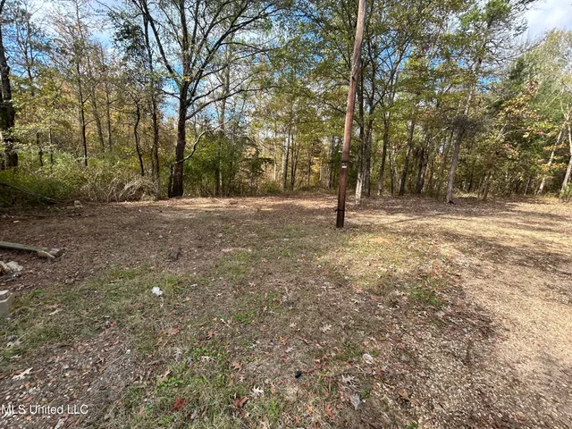 $81,000 | 4 County Road 325, Big Creek, MS 38914