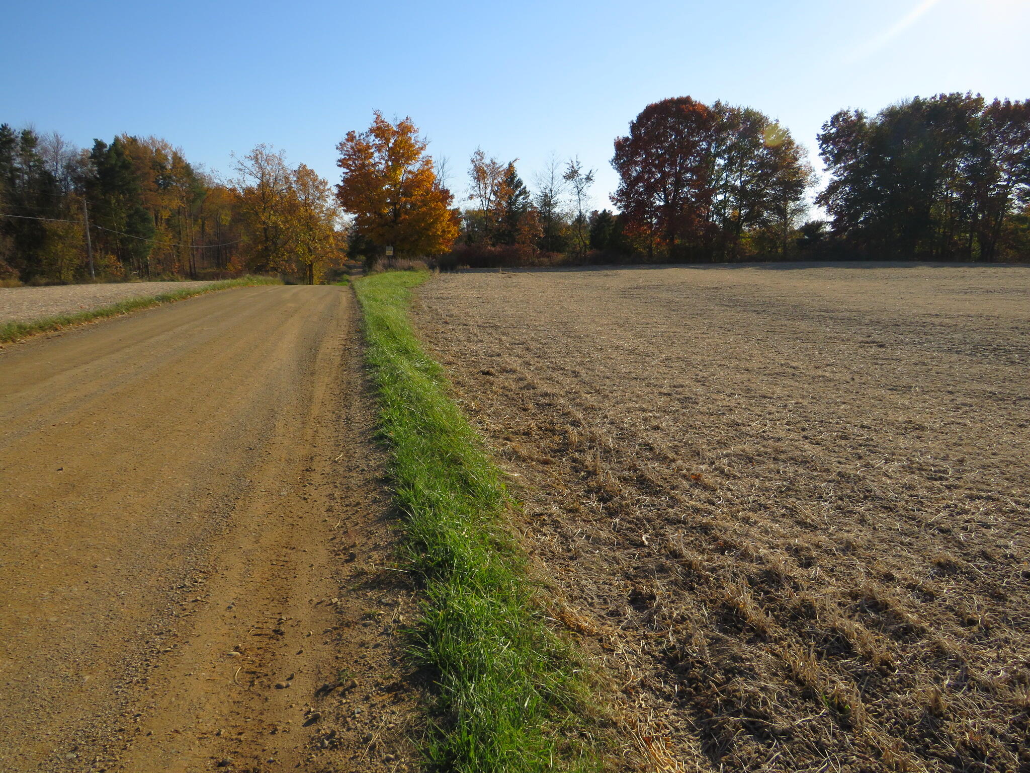 Brown Road Sunfield, MI 48890 - Photo 2 of 18 IMG_3491