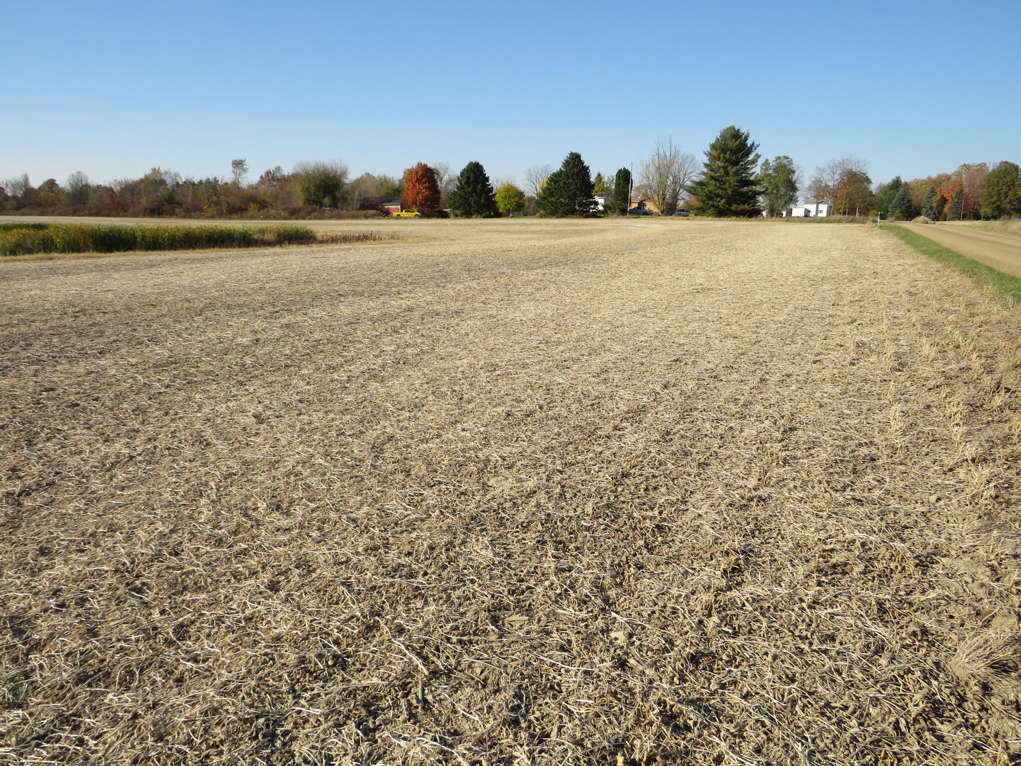 Brown Road Sunfield, MI 48890 - Photo 5 of 18 IMG_3498
