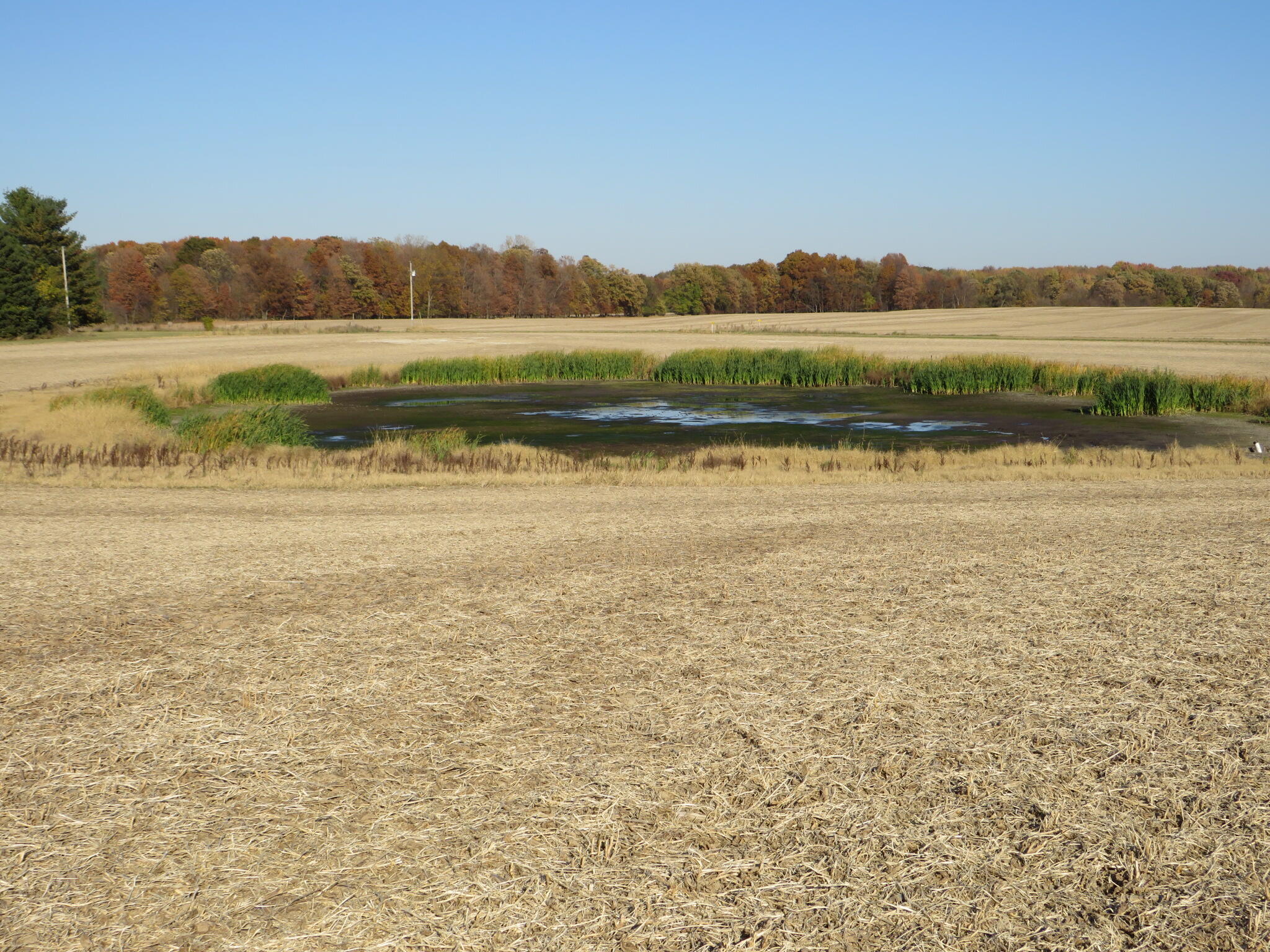 Brown Road Sunfield, MI 48890 - Photo 10 of 18 IMG_3520