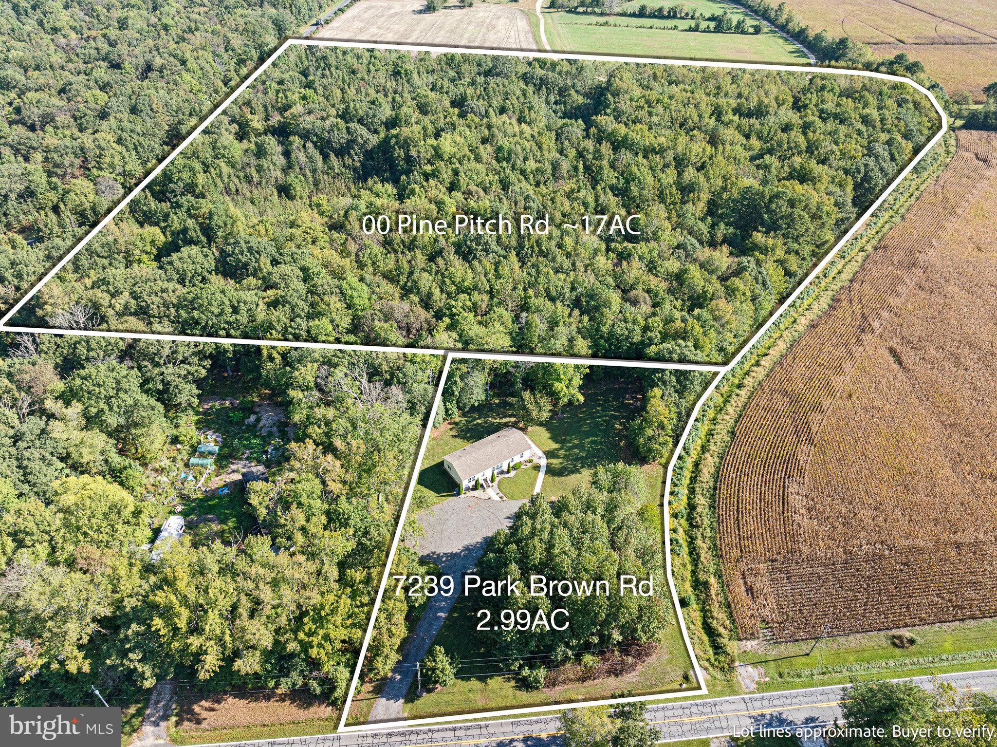 Arial view of land and separate adjacent property