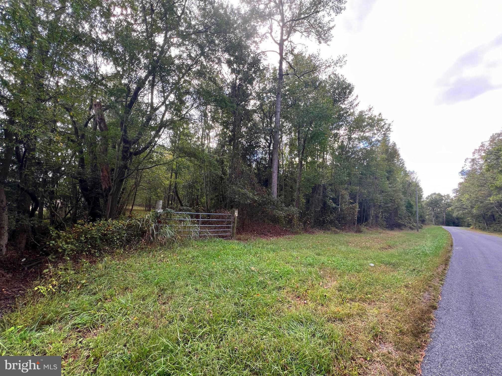 0 Pine Pitch Road Harrington, DE 19952 - Photo 11 of 16 End of property on Pine Pitch Rd
