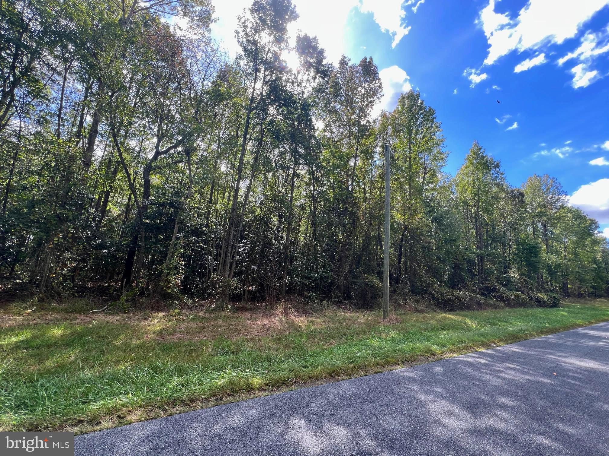 0 Pine Pitch Road Harrington, DE 19952 - Photo 16 of 16 Pine Pitch Rd