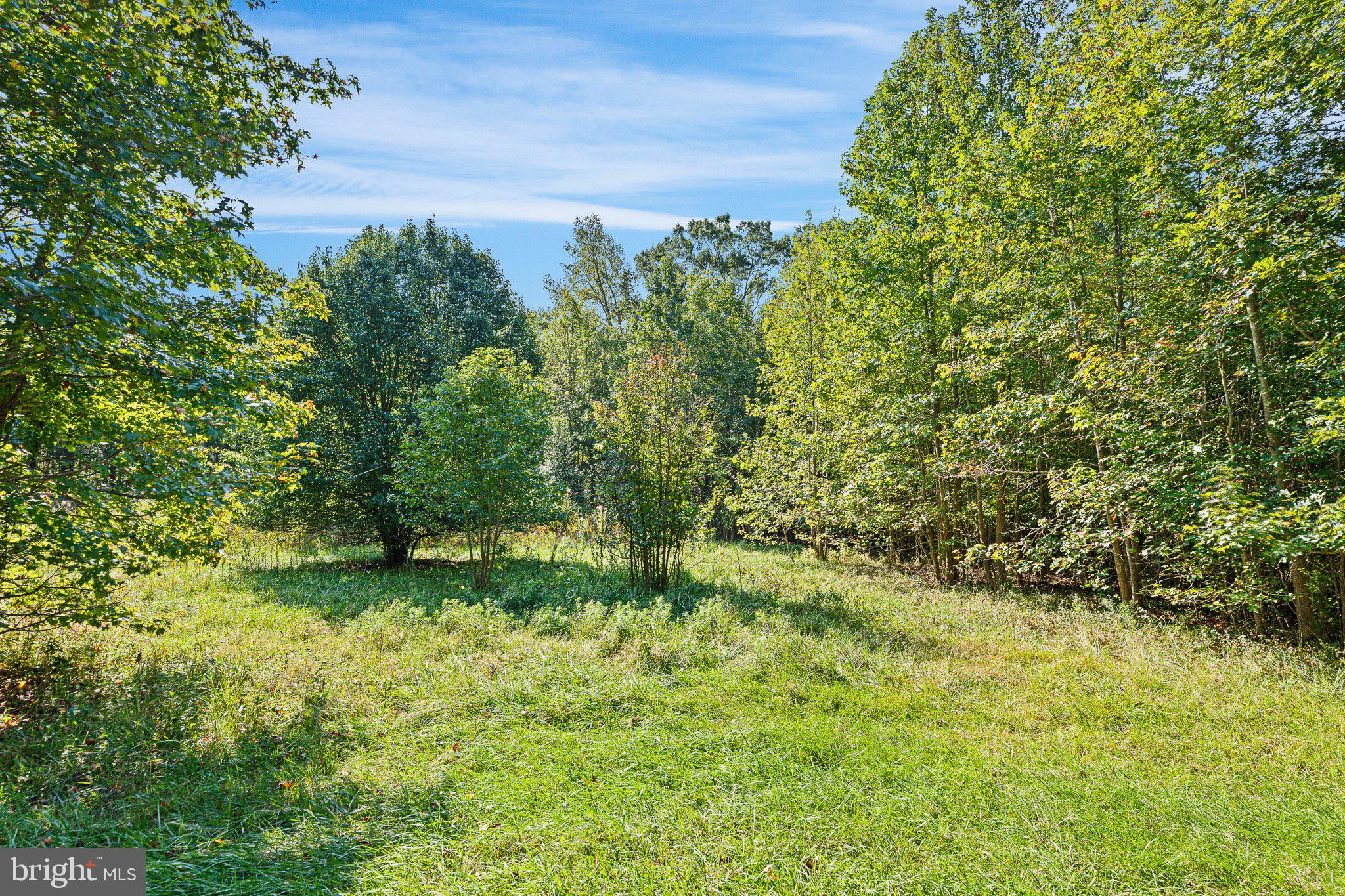 0 Pine Pitch Road Harrington, DE 19952 - Photo 3 of 16 Homesite