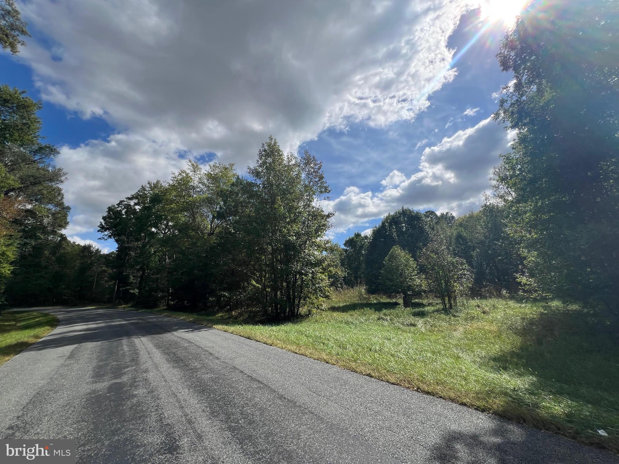 0 Pine Pitch Road Harrington, DE 19952 - Photo 4 of 16 Homesite