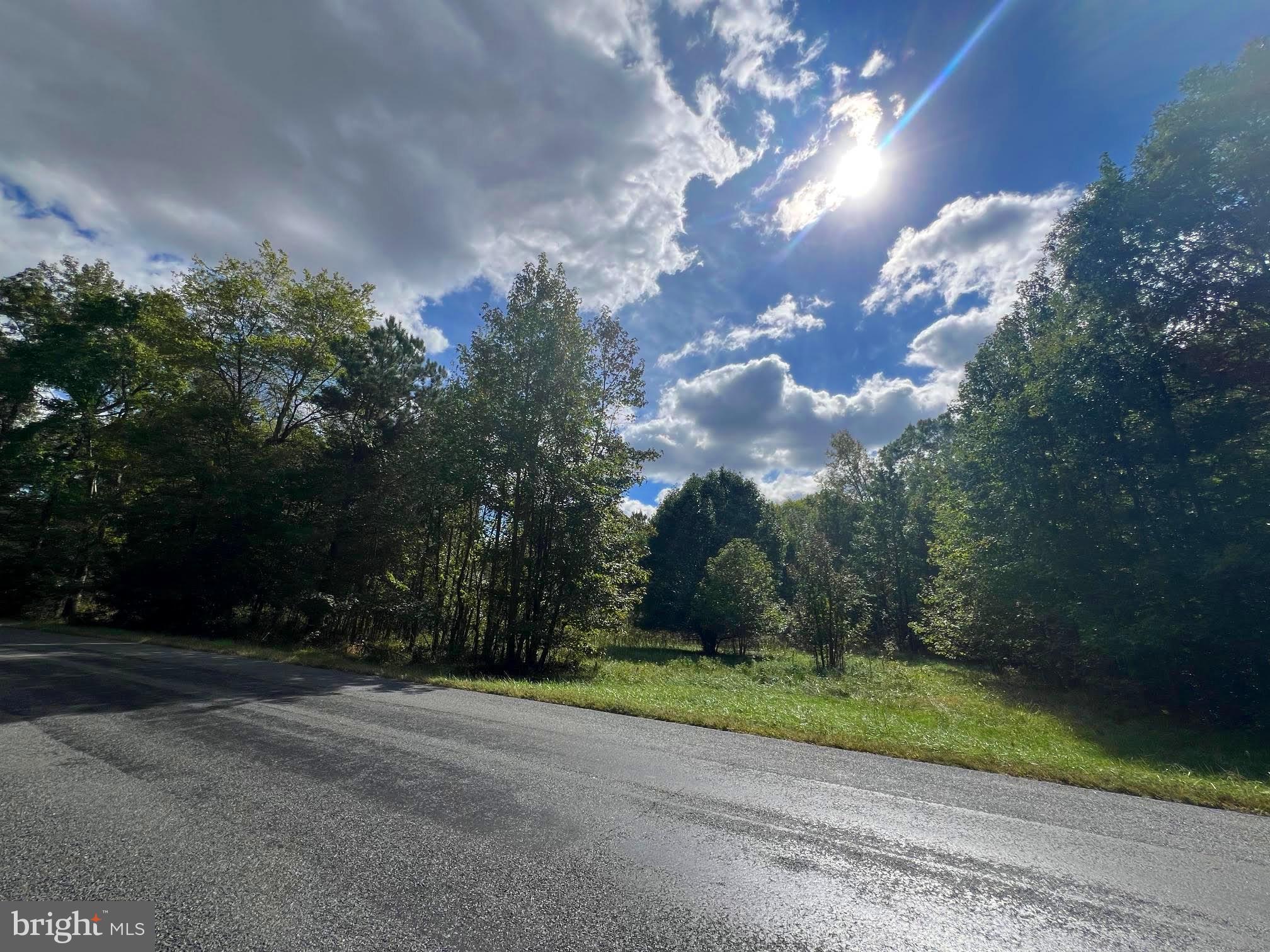 0 Pine Pitch Road Harrington, DE 19952 - Photo 6 of 16 Homesite Angle 3