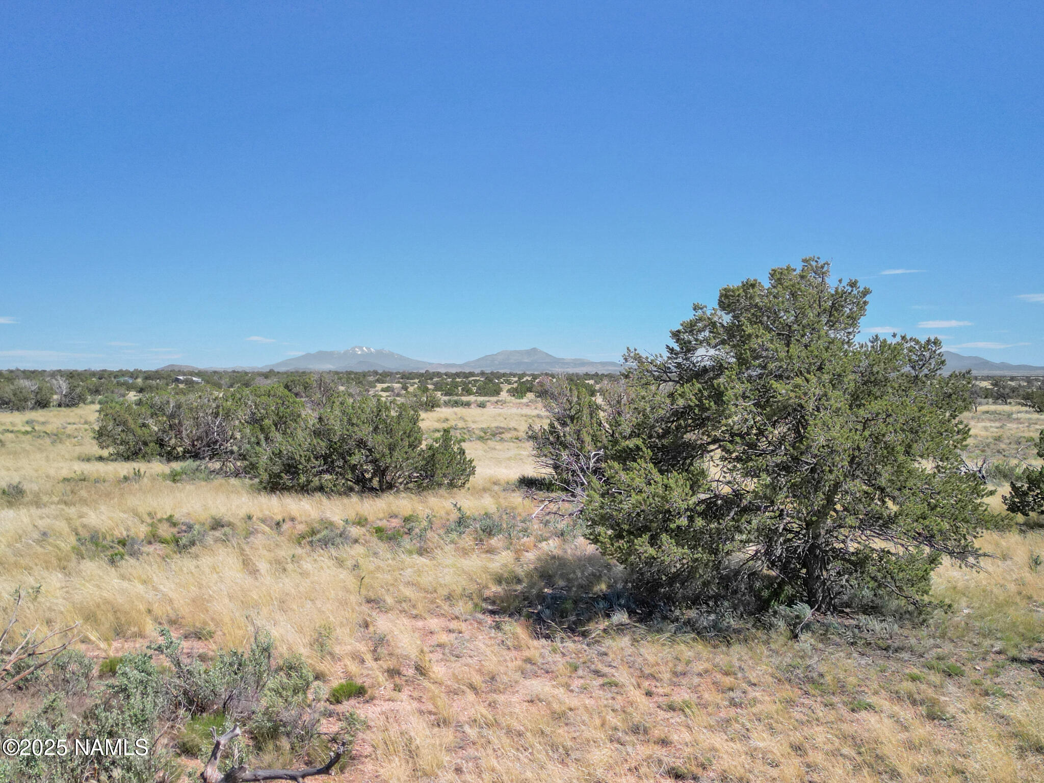 5133 North Alta Villa Road, Unit D Williams, AZ 86046 - Photo 18 of 20 TimberCreekImagery-5