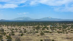 5133 North Alta Villa Road, Unit D Williams, AZ 86046 - Photo 3 of 20 20250421184515365783000000