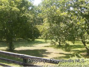 Wheeler Drive Angier, NC 27501 - Photo 3 of 7 a view of a back yard