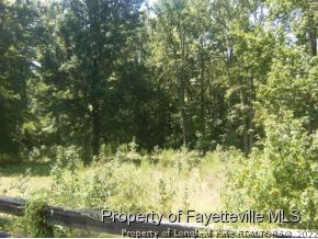 Wheeler Drive Angier, NC 27501 - Photo 5 of 7