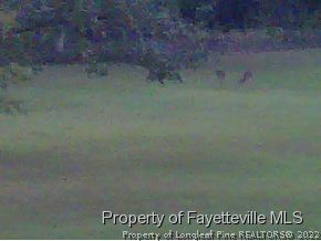 Wheeler Drive Angier, NC 27501 - Photo 6 of 7 a view of a dry yard