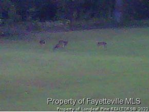 Wheeler Drive Angier, NC 27501 - Photo 7 of 7