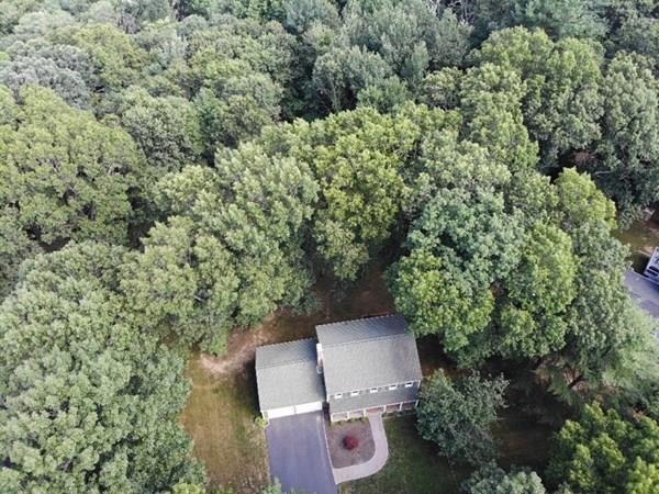 11 Cliff Road Bellingham, MA 02019 - Photo 29 of 30 Gallery Image 29