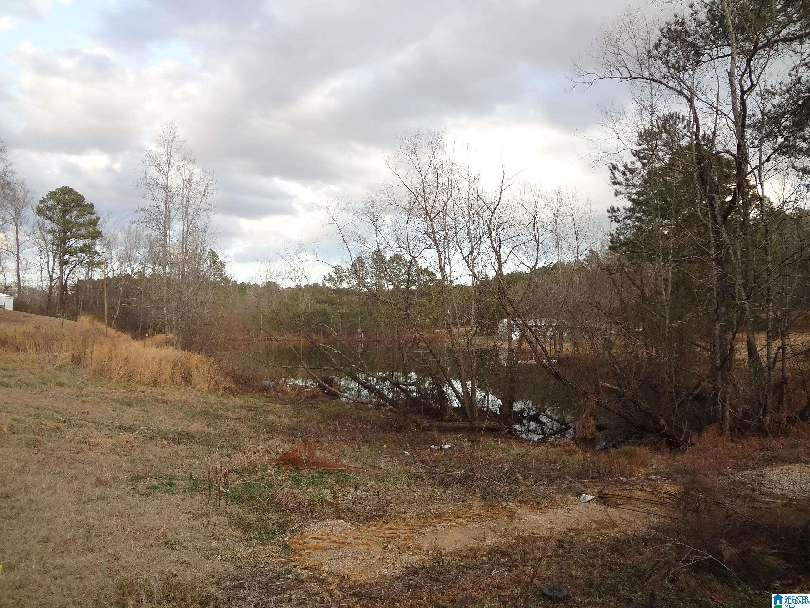 125 Lake Drive Springville, AL 35146 - Photo 6 of 49