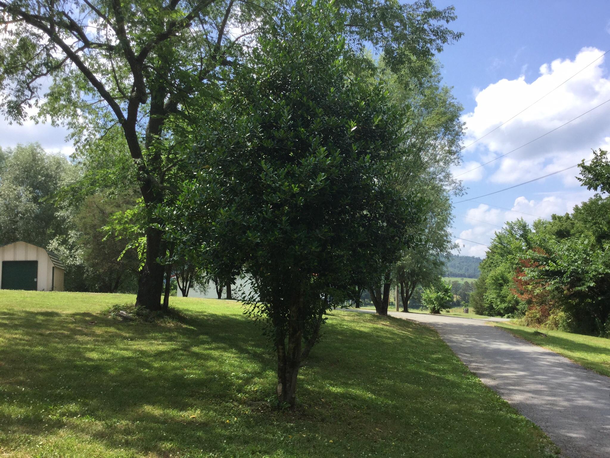 465 Riddle Lane Tazewell, TN 37879 - Photo 19 of 24 image
