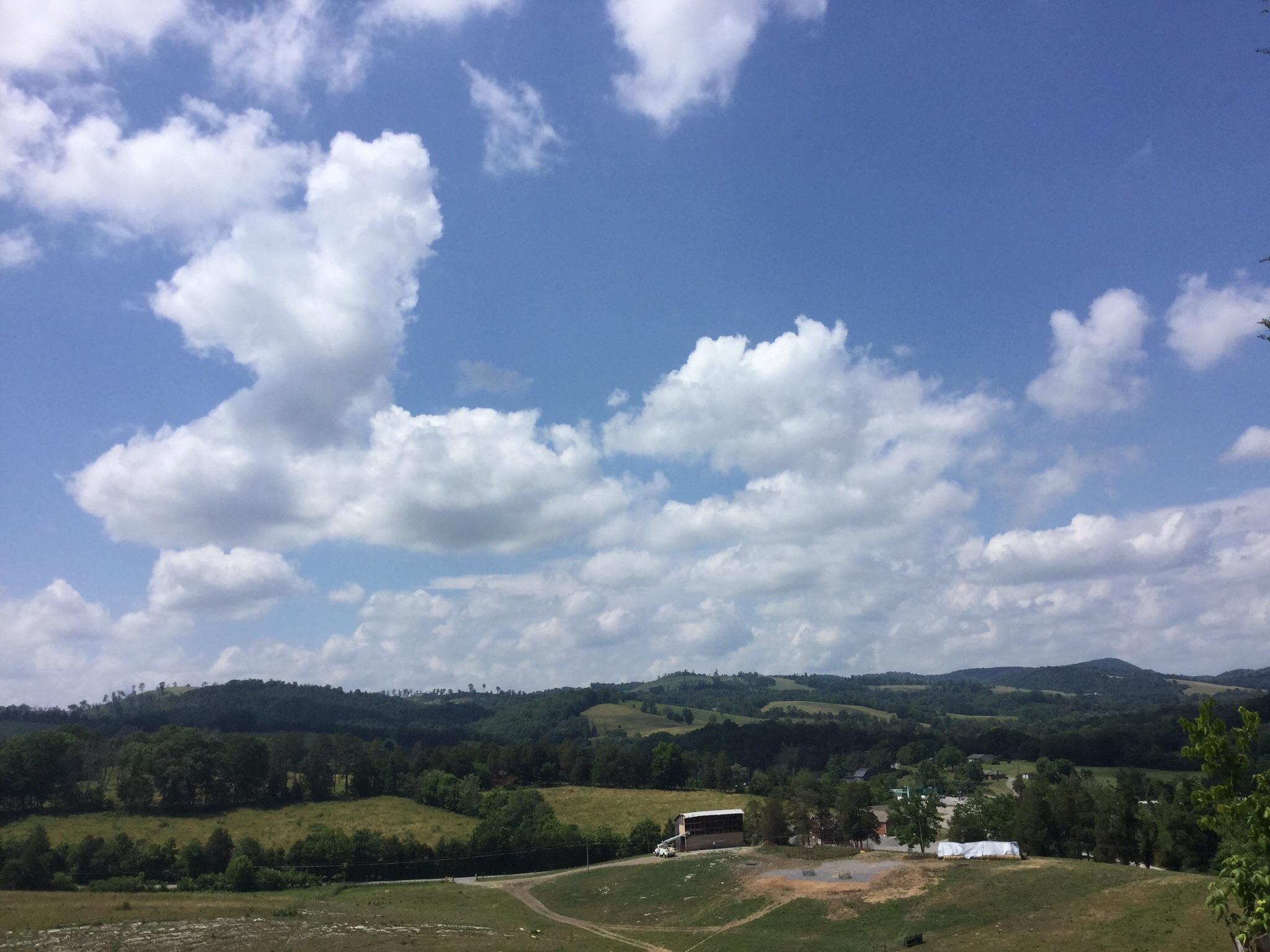 465 Riddle Lane Tazewell, TN 37879 - Photo 22 of 24 image