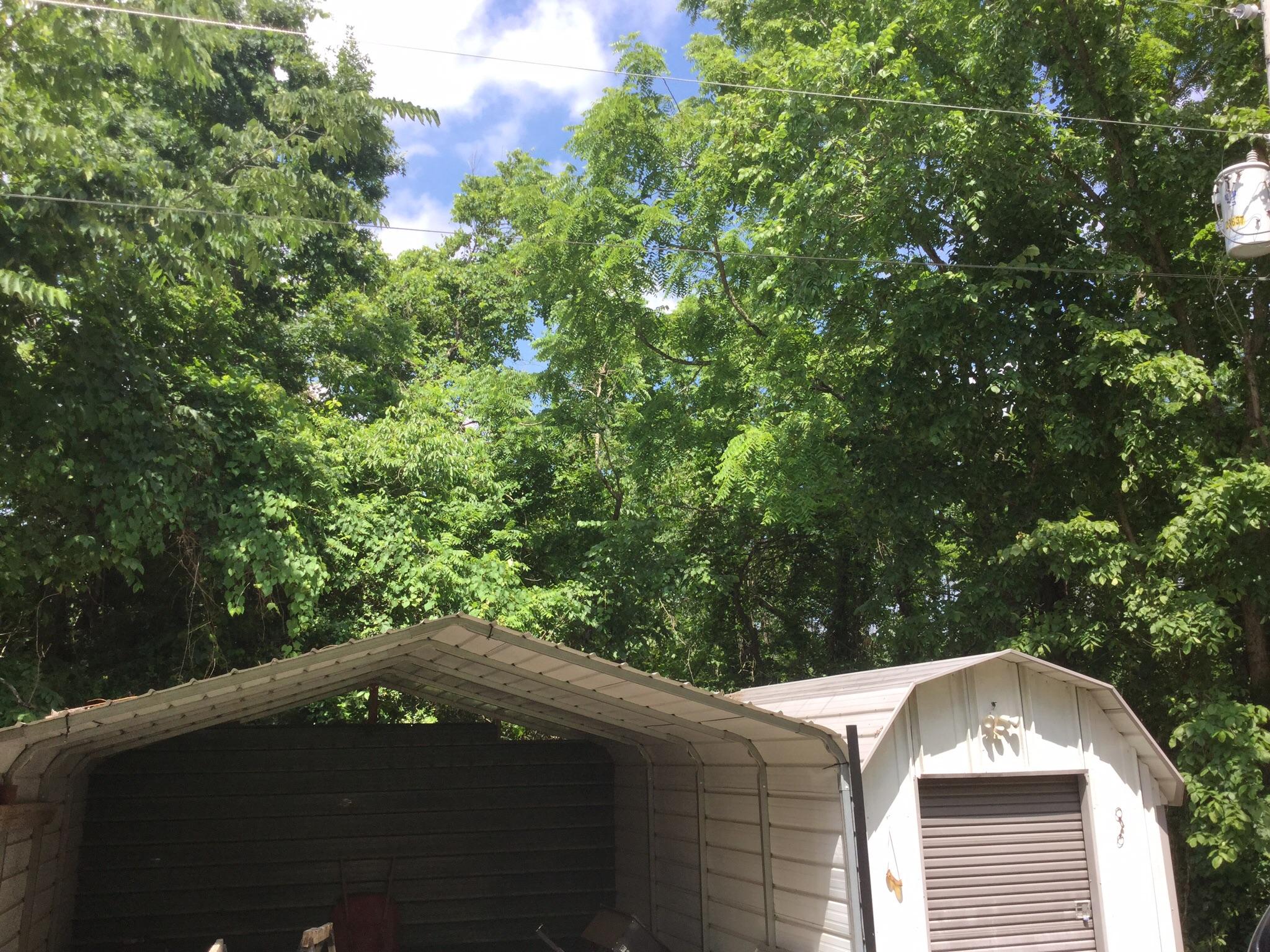 465 Riddle Lane Tazewell, TN 37879 - Photo 24 of 24 image
