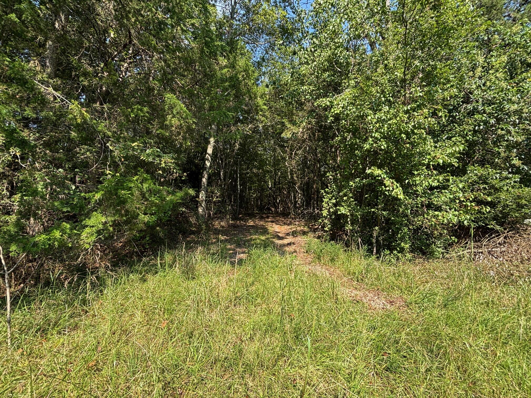 1460 Whitetown Road McCormick, SC 29835 - Photo 8 of 12