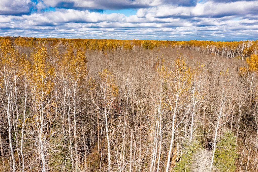 57-xx Rose Road Hermantown, MN 55811 - Photo 7 of 8