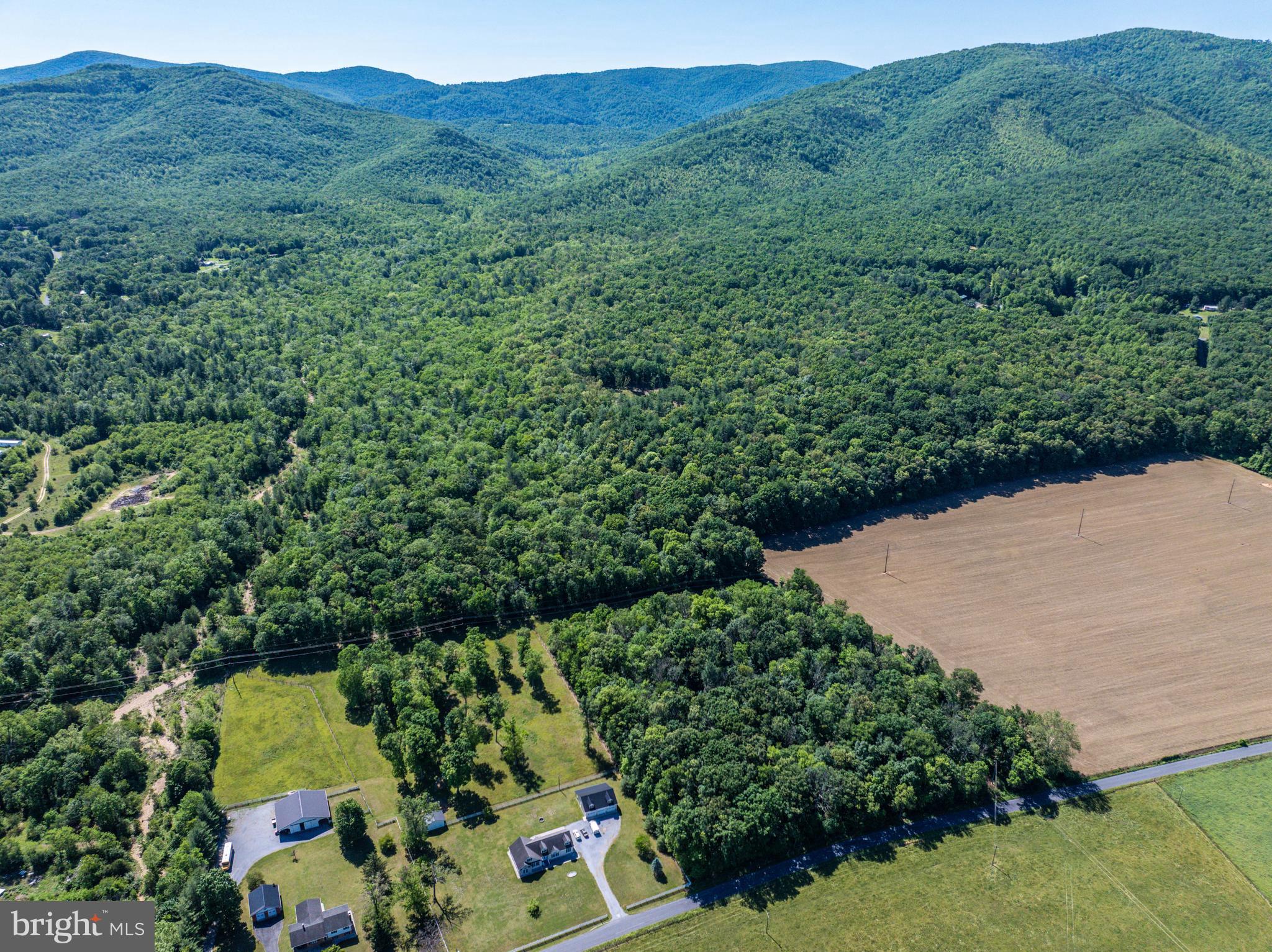Berrytown Road Elkton, VA 22827 - Photo 15 of 28