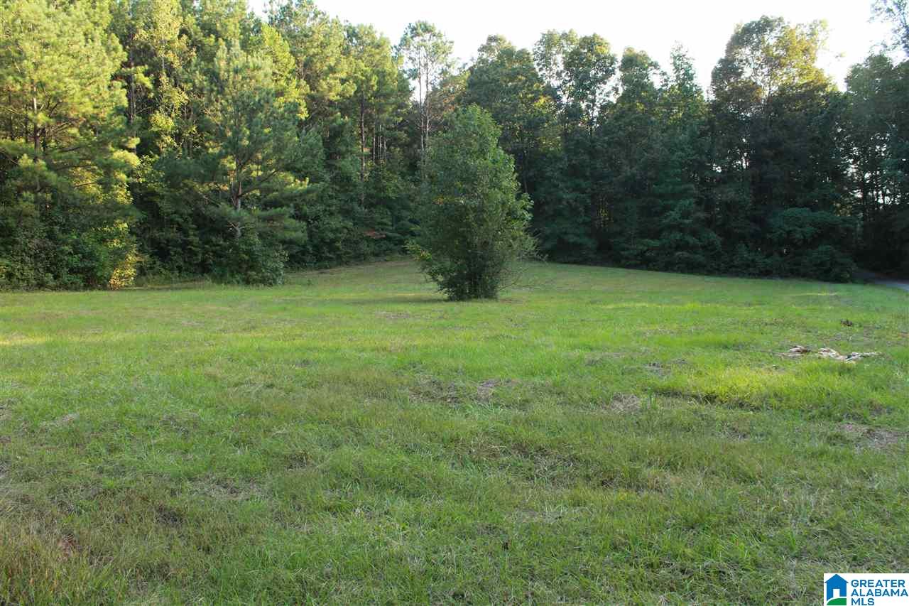 0 Hidden Valley Trail Oneonta, AL 35121 - Photo 2 of 5