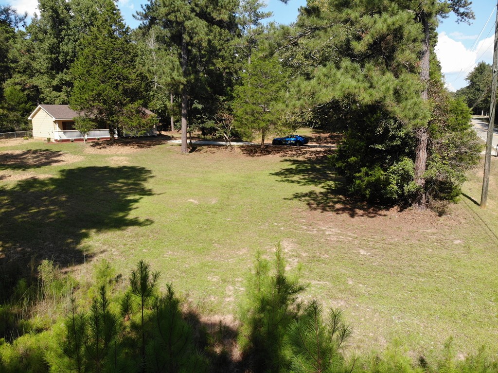 10089 County Line Road Midland, GA 31820 - Photo 8 of 27 a view of a lake view