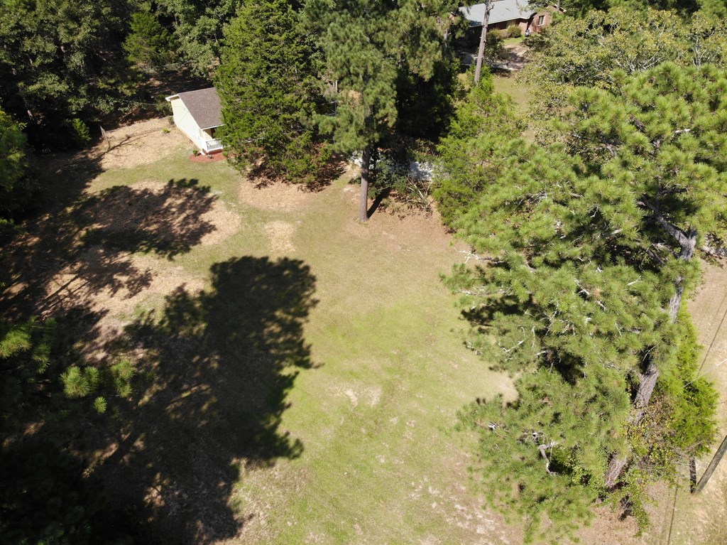 10089 County Line Road Midland, GA 31820 - Photo 9 of 27 a view of a yard