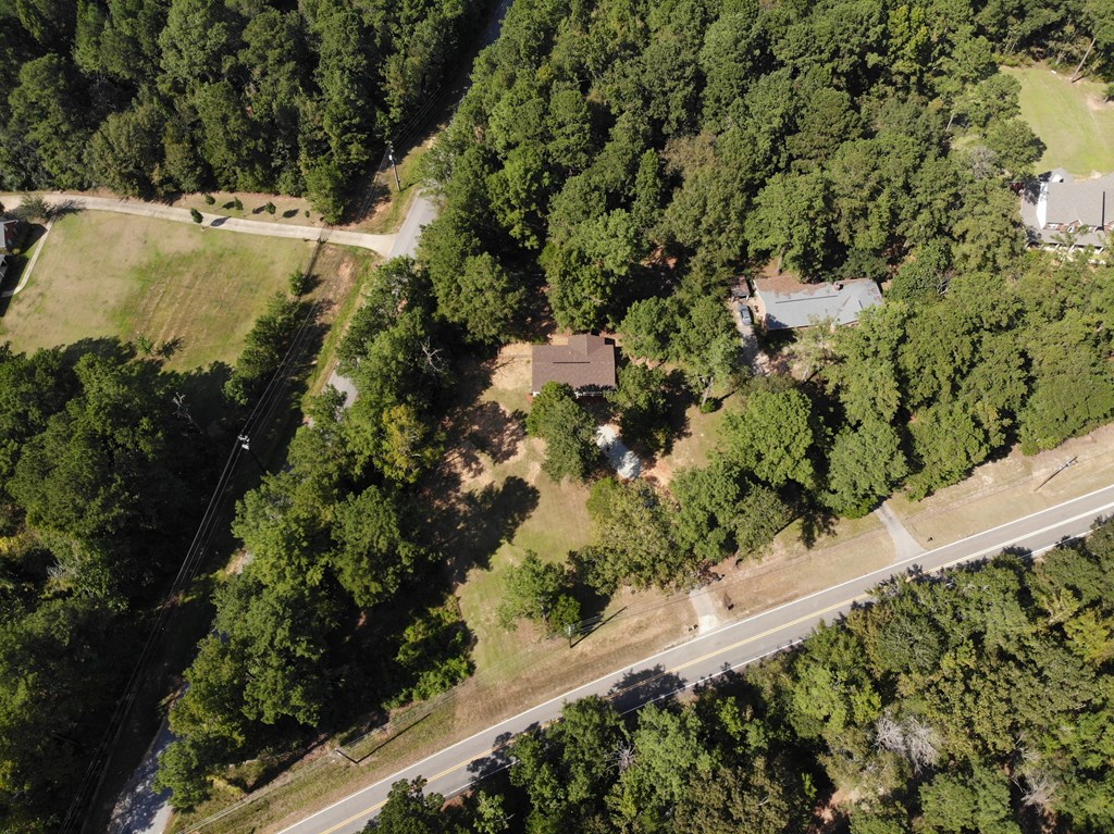 10089 County Line Road Midland, GA 31820 - Photo 10 of 27 a view of a tree with a yard