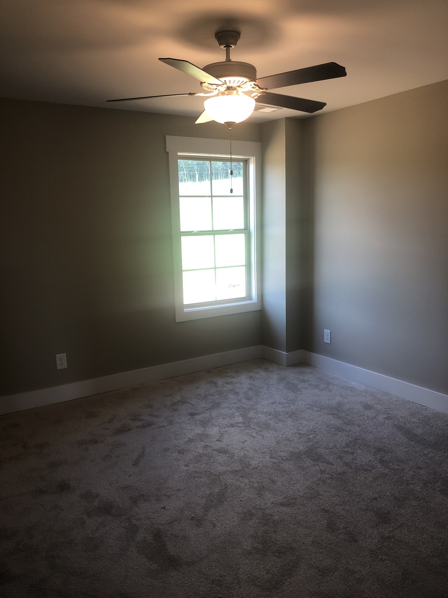 1305 Ash Ridge Road Lascassas, TN 37085 - Photo 13 of 26 Gallery Image 13