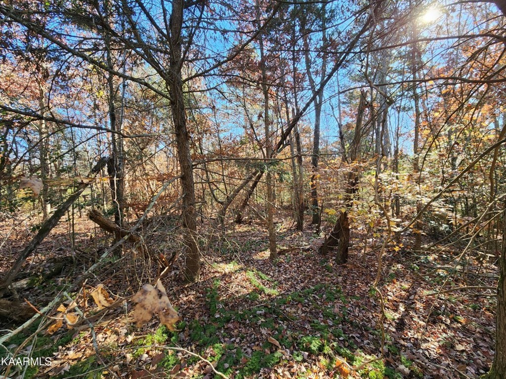 7 Fancher Road Newport, TN 37821 - Photo 9 of 9 Gallery Image 9