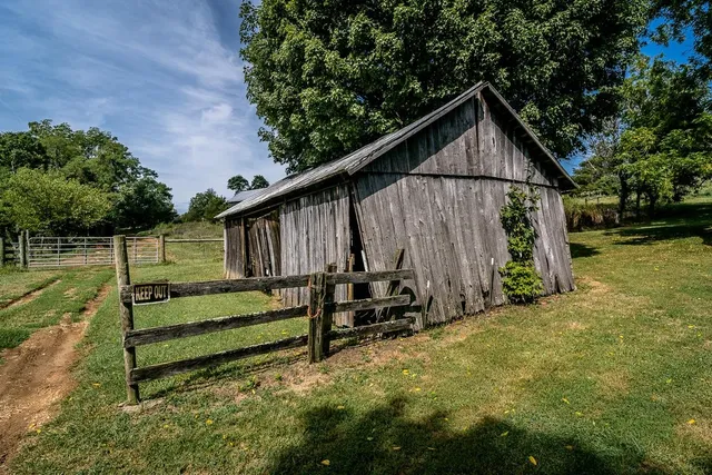 a house view with garden space