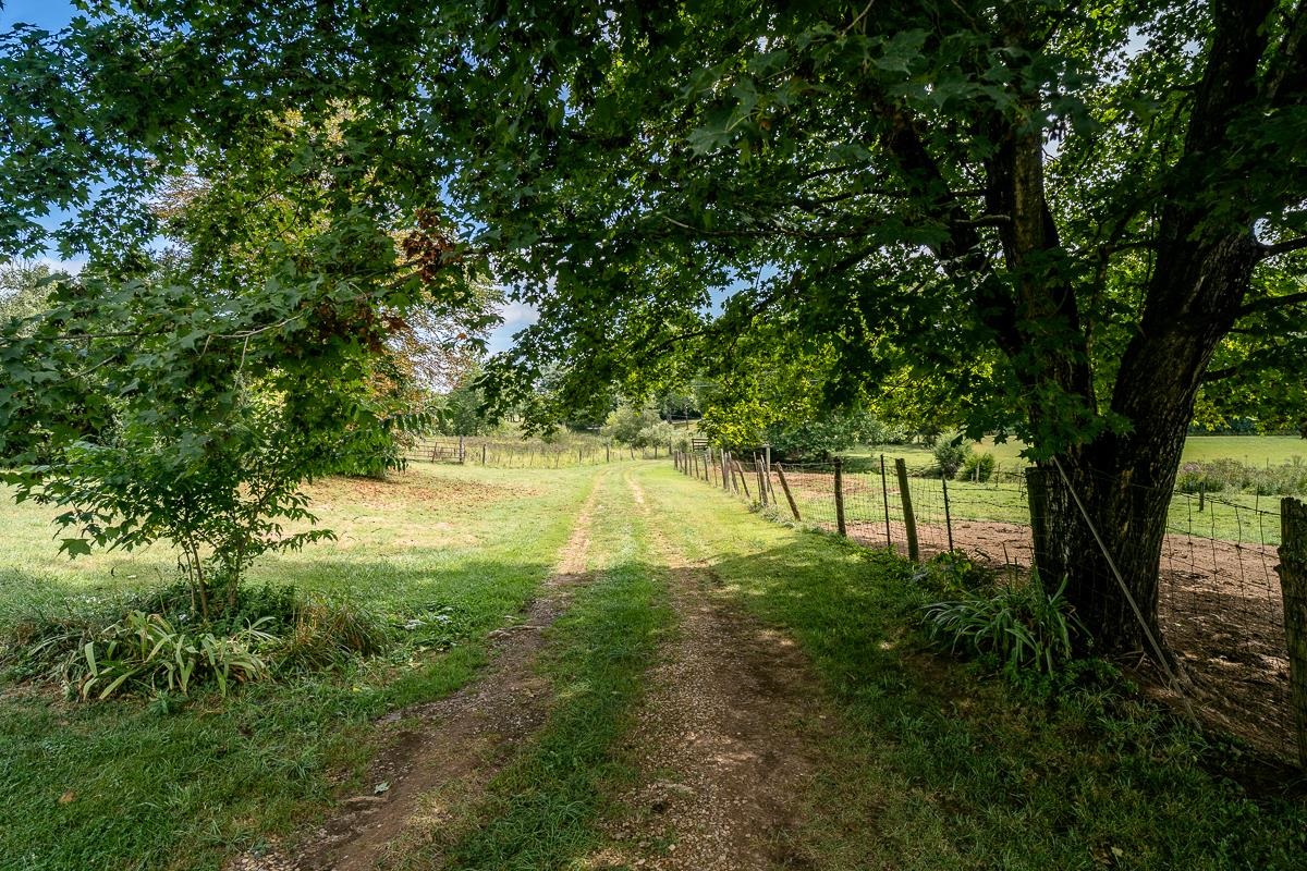 5787 Borden Grant Trail Raphine, VA 24472 - Photo 42 of 52 a view of outdoor space and yard