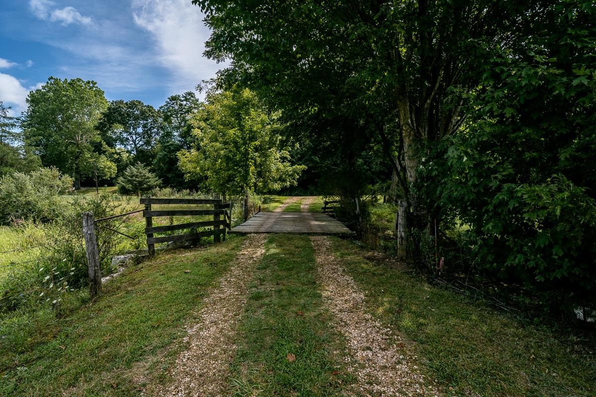 5787 Borden Grant Trail Raphine, VA 24472 - Photo 43 of 52 a view of park with trees