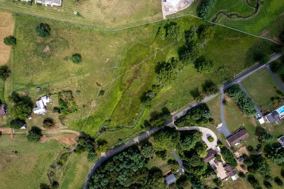 5787 Borden Grant Trail Raphine, VA 24472 - Photo 46 of 52 a close up of a plant in a garden