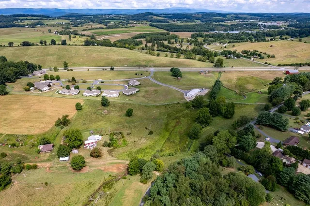 a view of a yard with plants and large trees