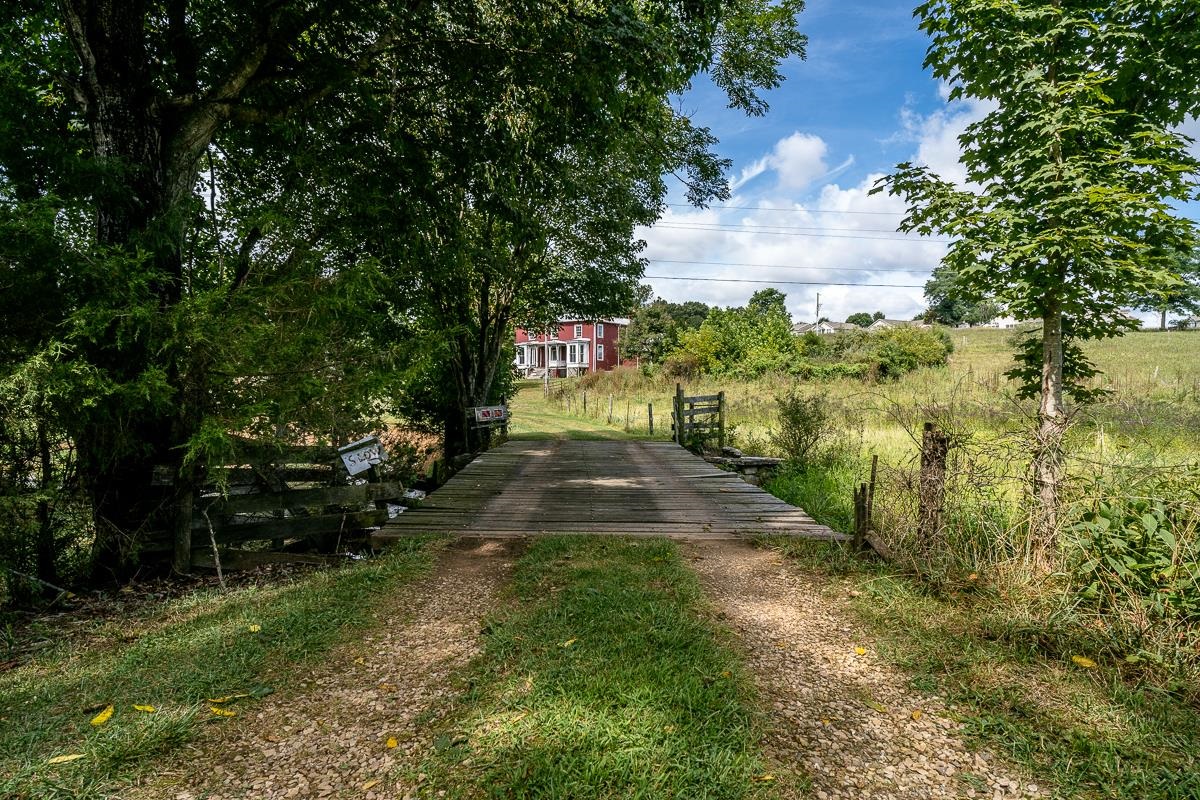 5787 Borden Grant Trail Raphine, VA 24472 - Photo 48 of 52 a view of a yard with plants and large trees