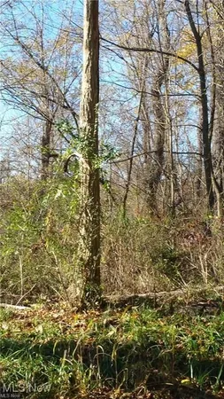 $49,900 | 0 Watson Rd Street, St. Clairsville, OH 43950