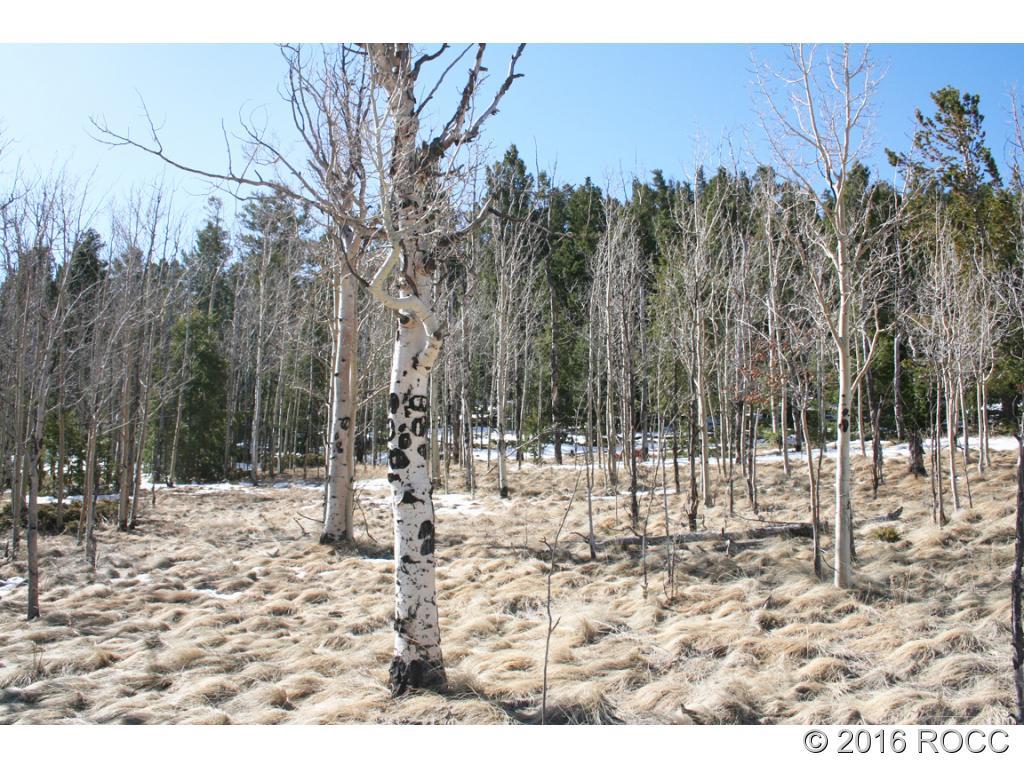 312 Tapedero Road Hartsel, CO 80449 - Photo 1 of 11 Gallery Image 1