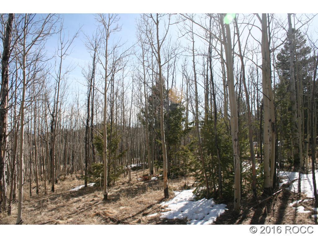312 Tapedero Road Hartsel, CO 80449 - Photo 11 of 11 Gallery Image 11