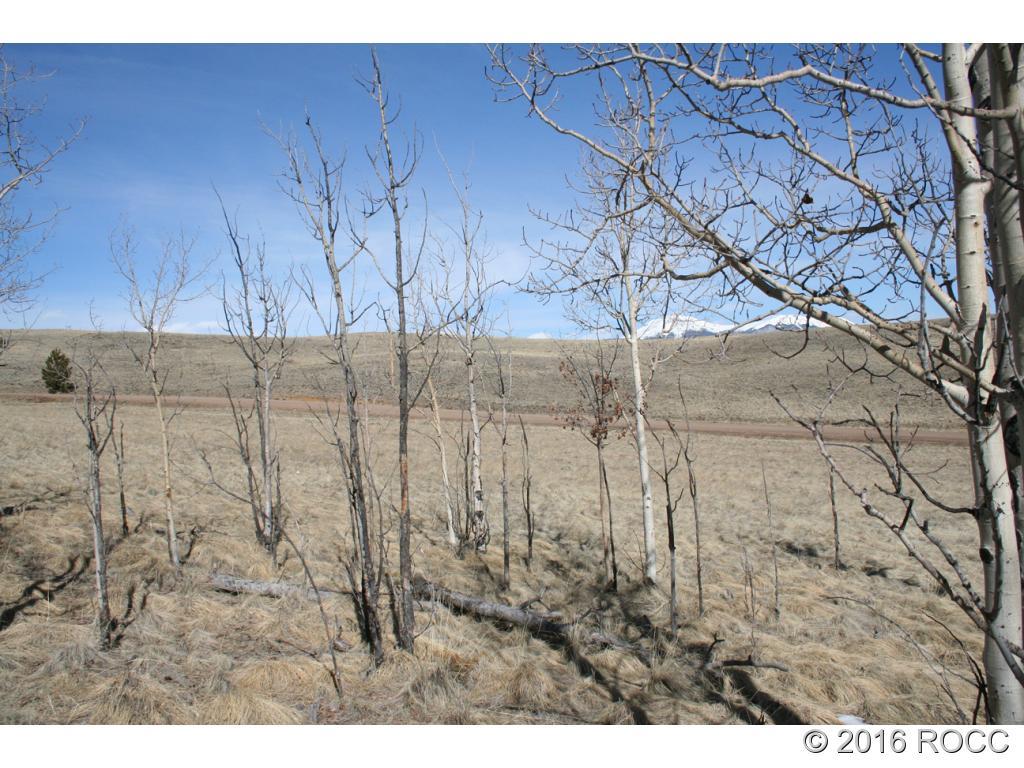 312 Tapedero Road Hartsel, CO 80449 - Photo 2 of 11 Gallery Image 2