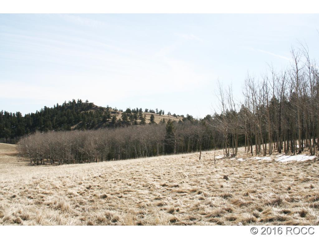 312 Tapedero Road Hartsel, CO 80449 - Photo 3 of 11 Gallery Image 3