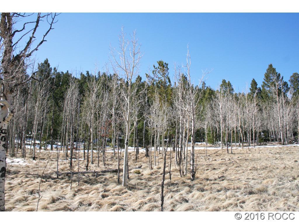 312 Tapedero Road Hartsel, CO 80449 - Photo 4 of 11 Gallery Image 4