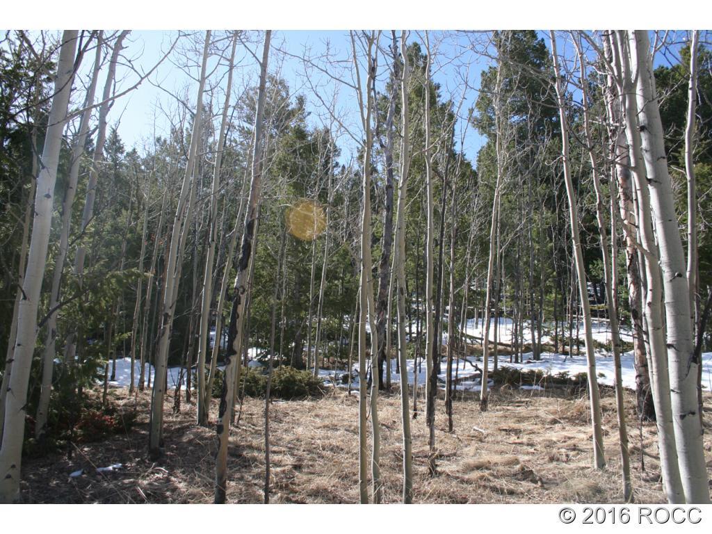 312 Tapedero Road Hartsel, CO 80449 - Photo 5 of 11 Gallery Image 5