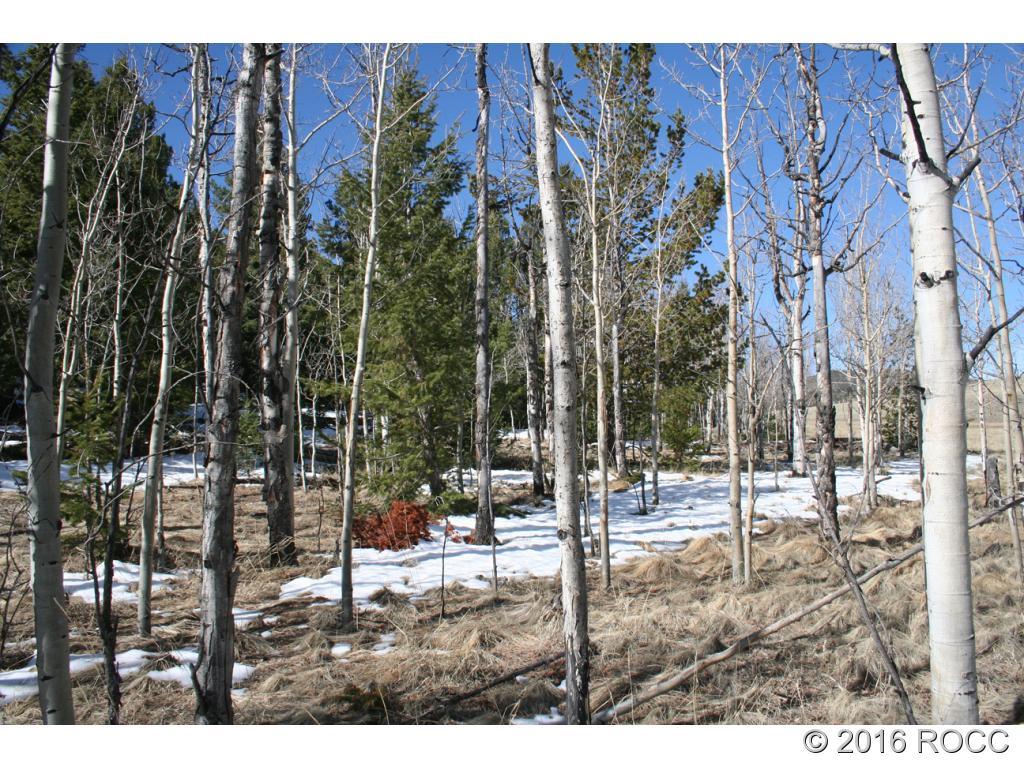 312 Tapedero Road Hartsel, CO 80449 - Photo 7 of 11 Gallery Image 7