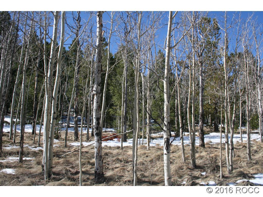 312 Tapedero Road Hartsel, CO 80449 - Photo 10 of 11 Gallery Image 10