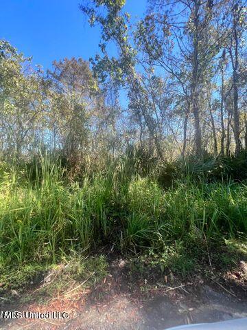 Cochran Avenue Moss Point, MS 39562 - Photo 5 of 8 street view